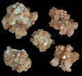 Natural Aragonite Clusters Wholesale Lot - Pieces #61785-2